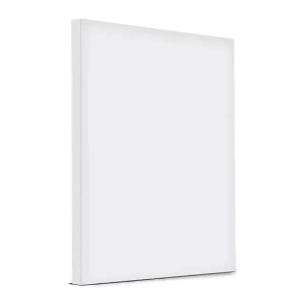 LIENZO DE 40X50
